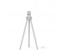 Настольный светильник Loft IT Nordic 1700-TWH+SW